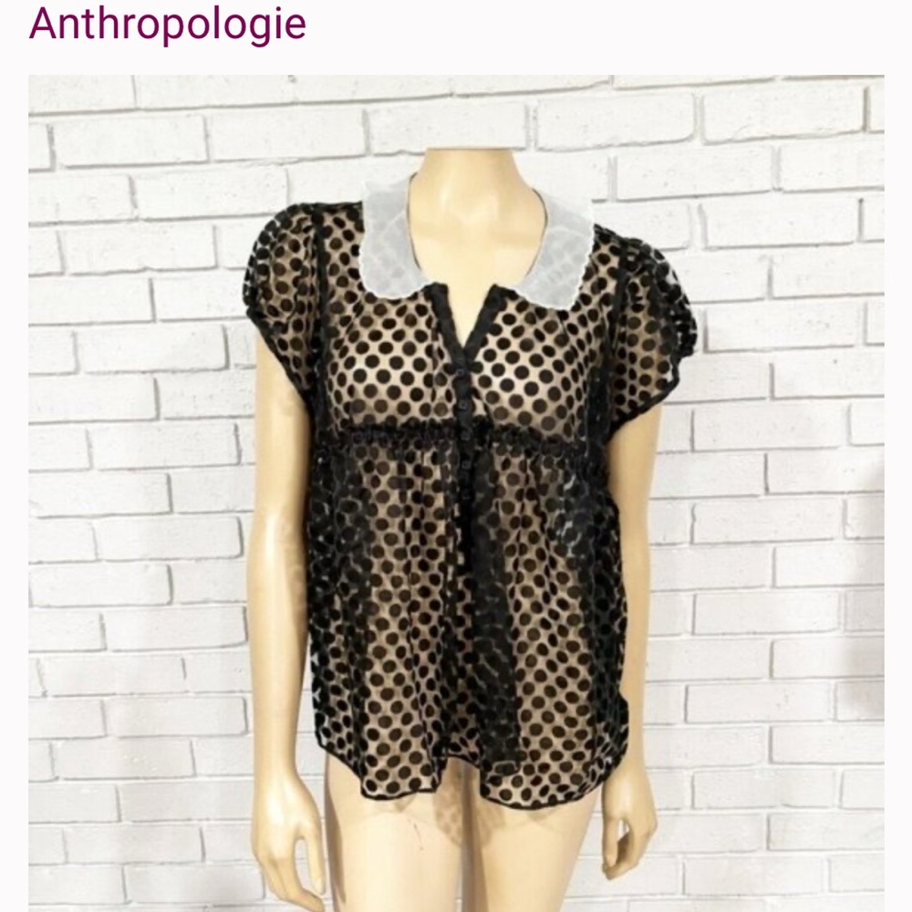 Sheer Black Polka Dot Top with White Collar - Picture 4 of 4